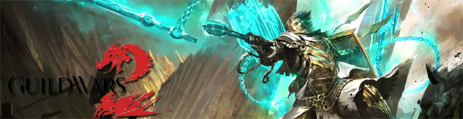 guild-wars-2-banner-2012